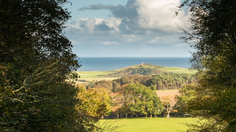 Elevated view from the Ling House to Skelding Hill and the coast beyond, at Sheringham Park, Norfolk